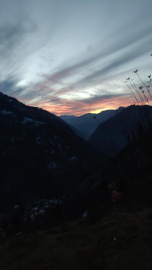 Parvatis Lap Luxury Hostel & Camps Kasol Ngoại thất bức ảnh