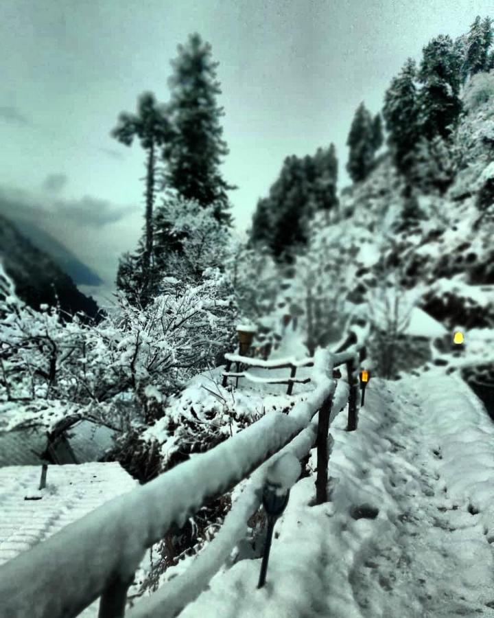 Parvatis Lap Luxury Hostel & Camps Kasol Ngoại thất bức ảnh