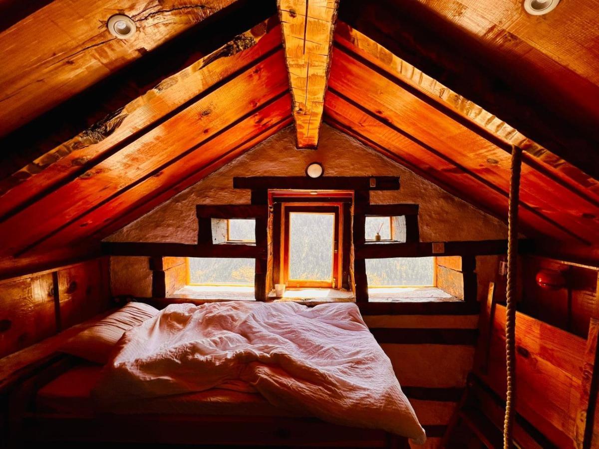 Parvatis Lap Luxury Hostel & Camps Kasol Ngoại thất bức ảnh