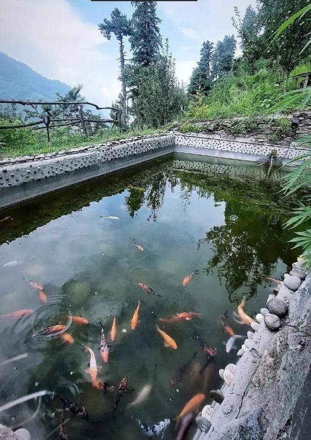 Parvatis Lap Luxury Hostel & Camps Kasol Ngoại thất bức ảnh